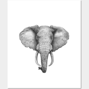 Elephant Posters and Art